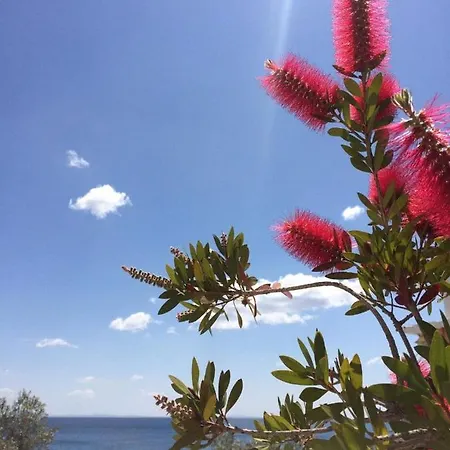 Apartament Seaside Xiropigado