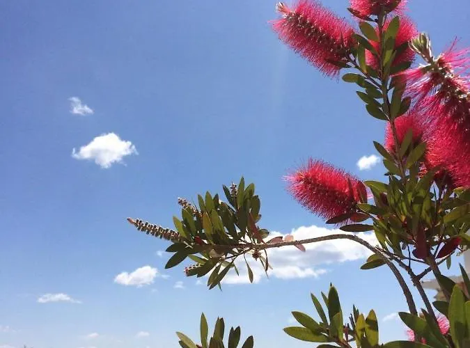 Apartmán Seaside Xiropigado